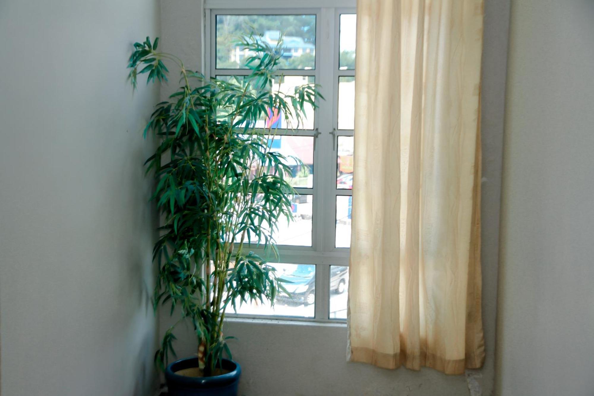 Hotel D View Mersing Ngoại thất bức ảnh